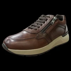 Walk Dream Sneakers Da Uomo Marrone Scuro - W7044