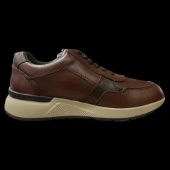 Walk Dream Sneakers Da Uomo Marrone Scuro - W7044